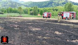 Pożar Trawy…
