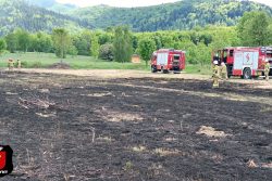 Pożar Trawy... Pożar Trawy...