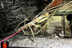 Powalone drzewo na budynek... Powalone drzewo na budynek...