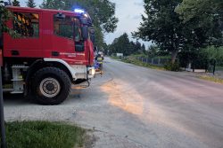 Złamany konar drzewa Złamany konar drzewa
