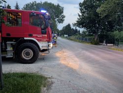 Złamany konar drzewa